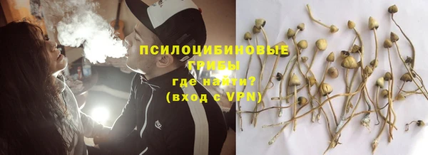 ГАЛЛЮЦИНОГЕННЫЕ ГРИБЫ Володарск