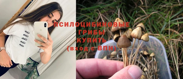 прущая мука Волоколамск