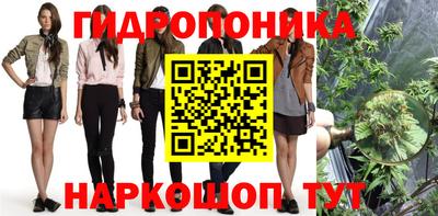 ALPHA PVP Сертолово