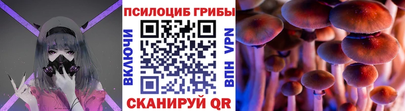 Псилоцибиновые грибы Psilocybe Муром