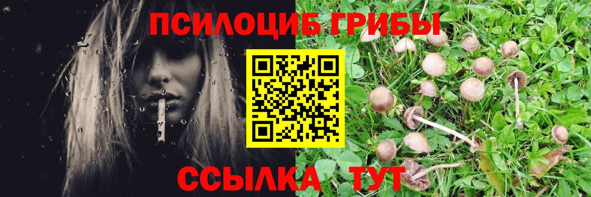Псилоцибиновые грибы Magic Shrooms  Вход с VPN  Псилоцибиновые грибы GOLDEN TEACHER  Муром 